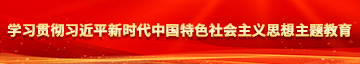 极品美女被我的大吊操的全身发抖学习贯彻习近平新时代中国特色社会主义思想主题教育